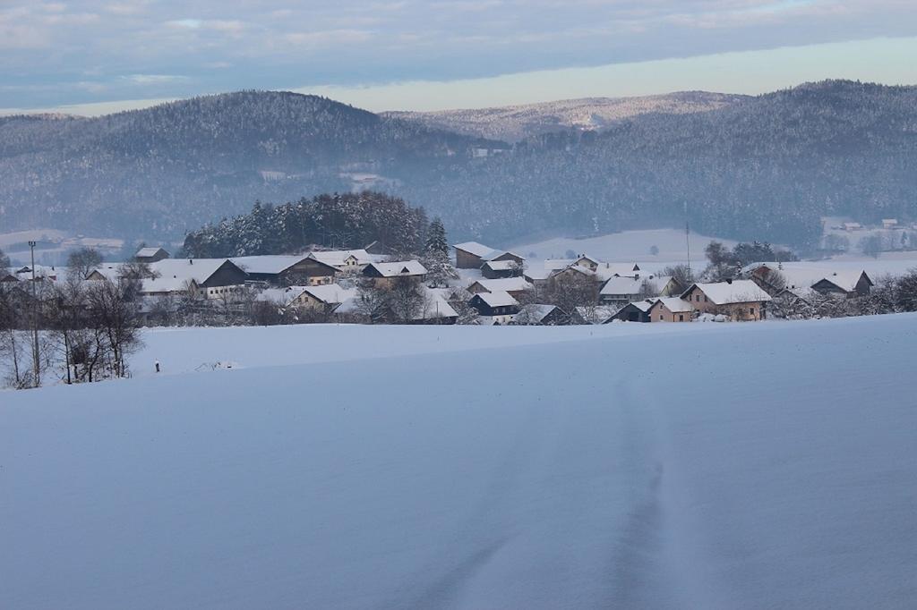 Gasthaus Zur Waldesruh Waffenbrunn Екстер'єр фото