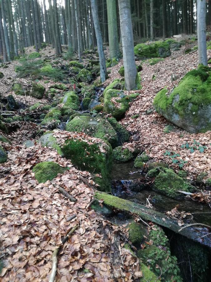 Gasthaus Zur Waldesruh Waffenbrunn Екстер'єр фото