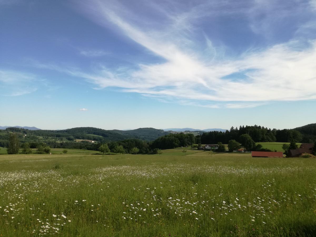 Gasthaus Zur Waldesruh Waffenbrunn Екстер'єр фото